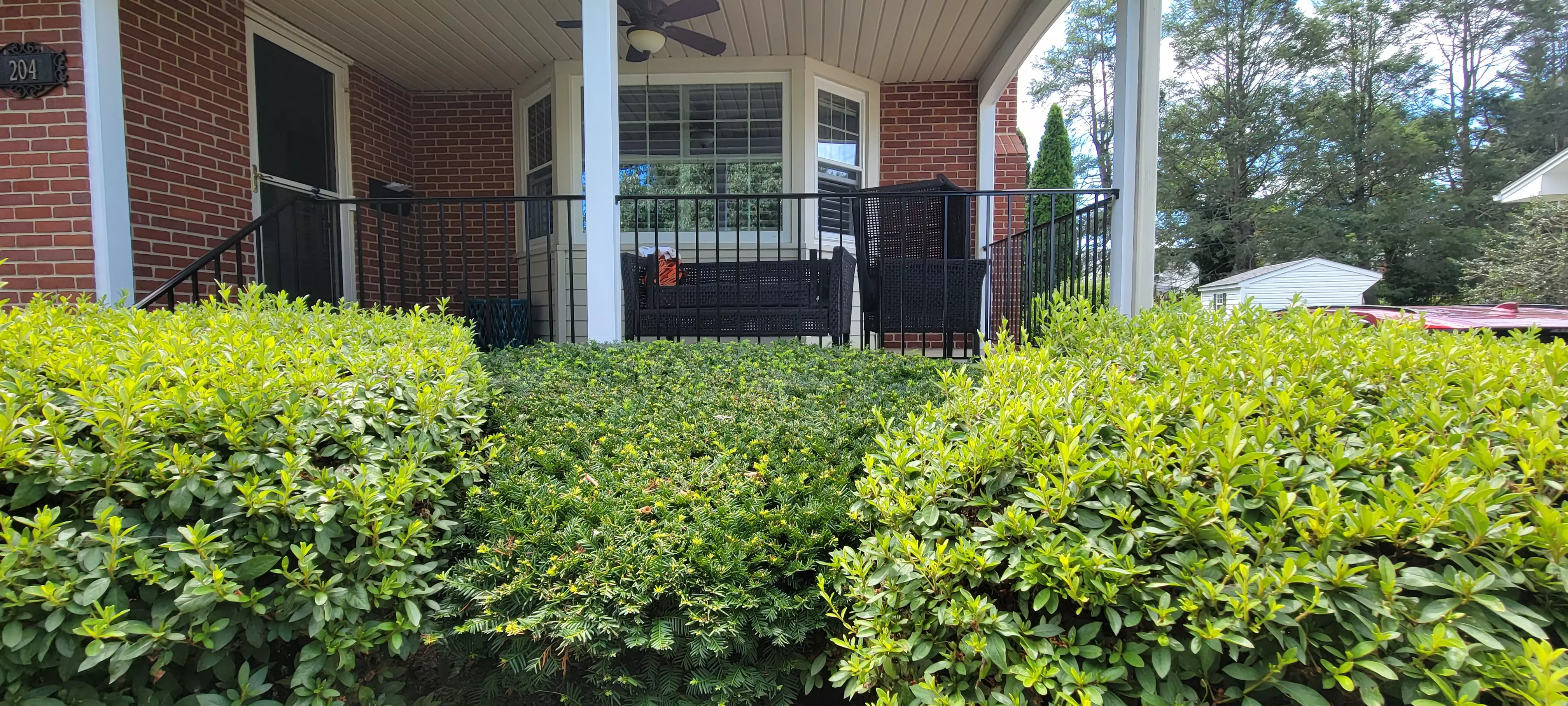 Photo of black residential railing on an outdoor patio surrounded by bushes